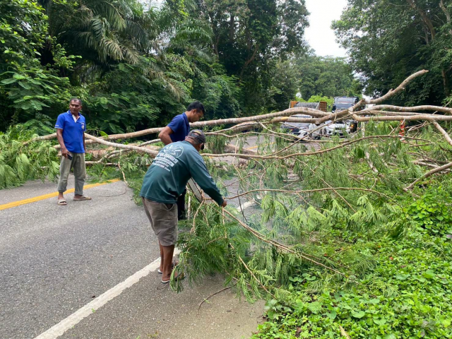 งานป้องกันและบรรเทาสาธารณภัย เทศบาลตำบลราชกรูด ได้รับแจ้งเหตุมีต้นไม้ล้มกีดขวางเส้นทางจราจร