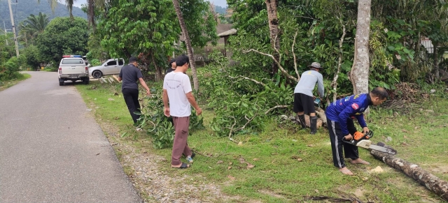 ได้ดำเนินการตัดต้นไม้ ซอยท่าเรือช้างแหก หมู่ที่ 8